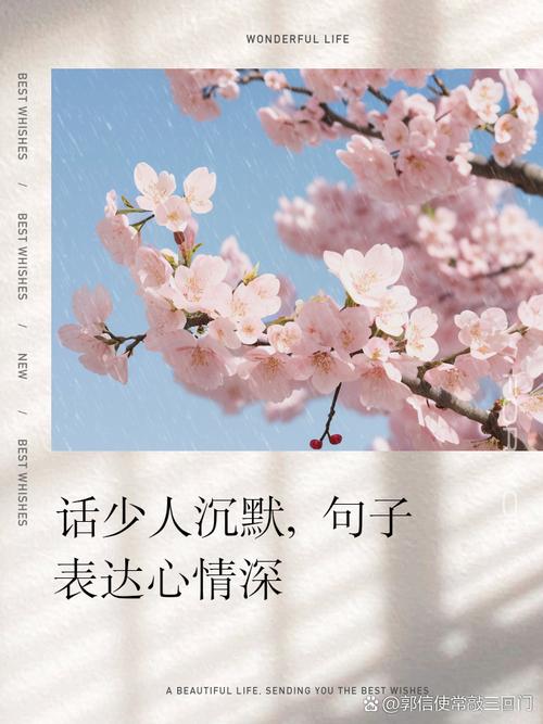 面对页问题，他沉默无言，未回应疑问