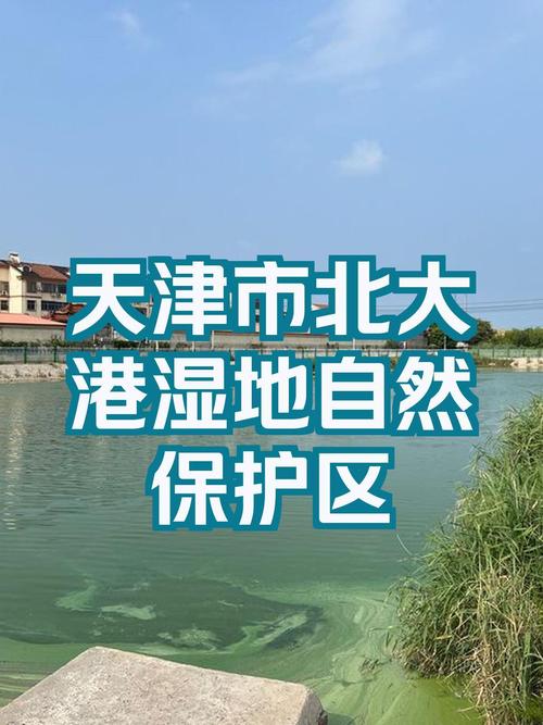 天津湿地生态环境持续向好 生物多样性显著提升