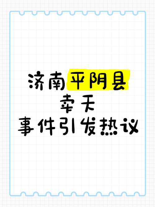 专家热议平阴低空经济特许经营：未来发展潜力巨大，政策支持成关键