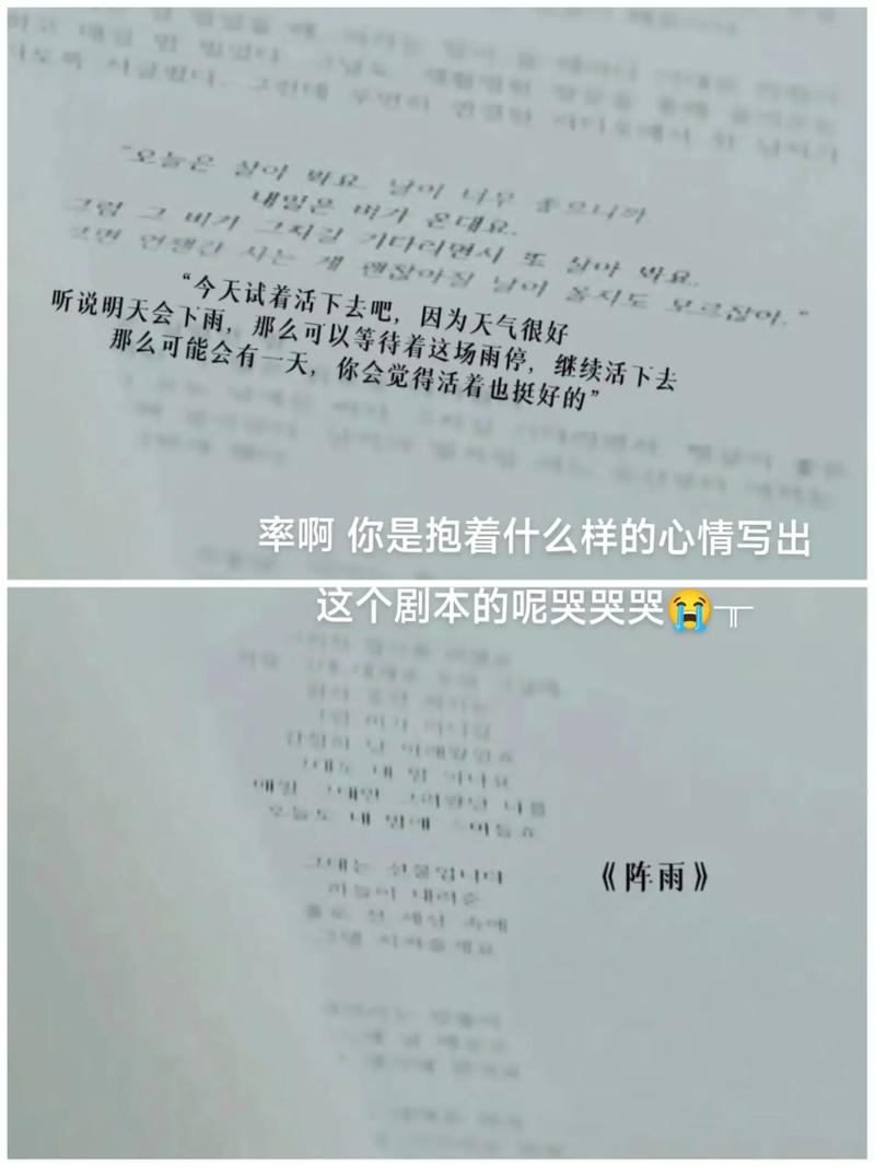 背着善宰跑引热议：揭秘背后隐藏的深层意义与社会反响