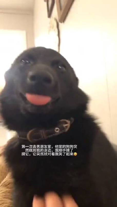 “笑